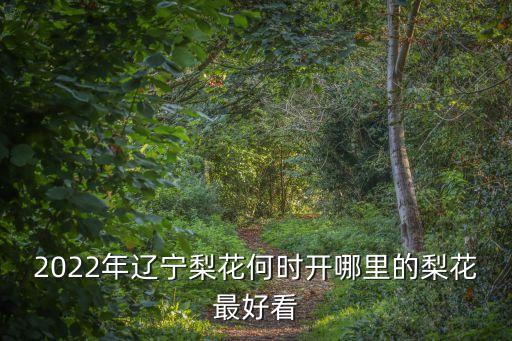 北鎮(zhèn)梨花節(jié),北鎮(zhèn)梨花節(jié):國色天香絕世姿開逢雨得春遲