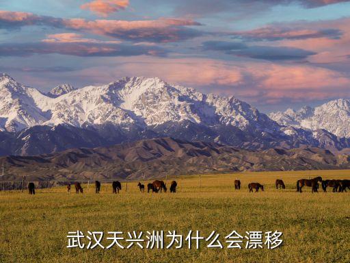 天興鄉(xiāng),武漢天興洲為何會漂移?