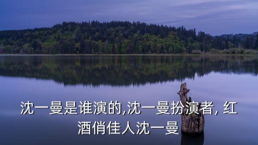 沈一曼是誰演的,沈一曼扮演者, 紅酒俏佳人沈一曼