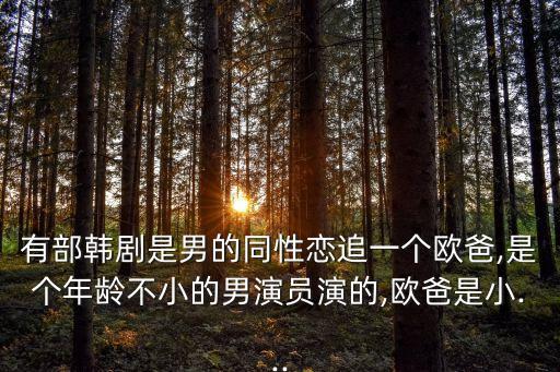 有部韓劇是男的同性戀追一個(gè)歐爸,是個(gè)年齡不小的男演員演的,歐爸是小...