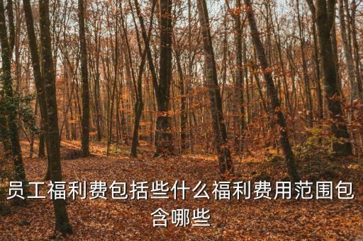員工福利費包括些什么福利費用范圍包含哪些