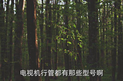 電視機(jī)行管都有那些型號(hào)啊