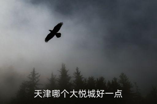 天津哪個大悅城好一點