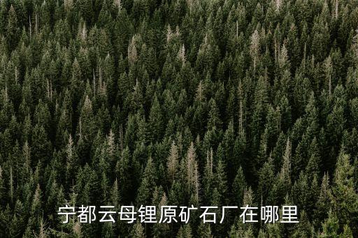 江西寧都,寧都十大首富: