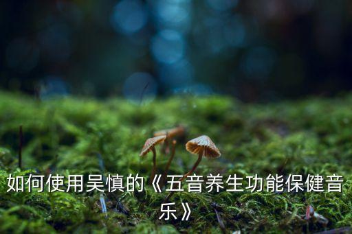 如何使用吳慎的《五音養(yǎng)生功能保健音樂》