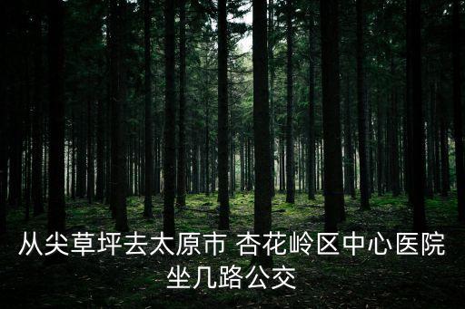 從尖草坪去太原市 杏花嶺區(qū)中心醫(yī)院坐幾路公交
