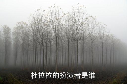 杜拉拉的扮演者是誰