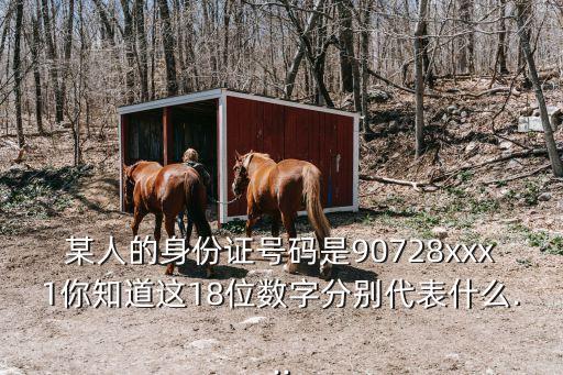 某人的身份證號碼是90728xxx1你知道這18位數字分別代表什么...