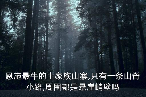 魚木寨,恩施最牛土家族寨子魚木寨由此而名