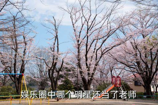 趙寶剛捧紅的明星,黃磊:王珞丹就是趙寶剛捧紅的
