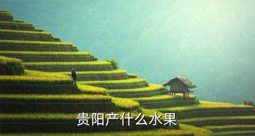 貴陽產(chǎn)什么水果
