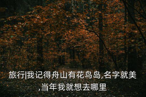 旅行|我記得舟山有花鳥島,名字就美,當年我就想去哪里