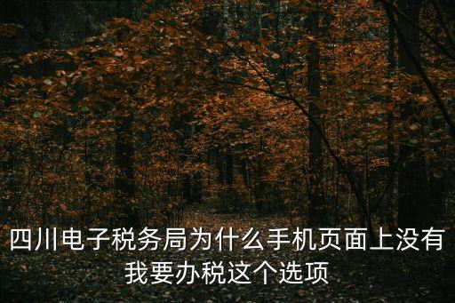 四川國稅網上辦稅大廳,!
