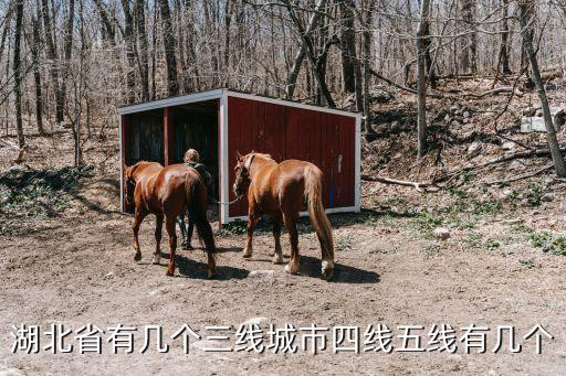 湖北省有幾個三線城市四線五線有幾個