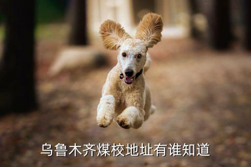 新疆煤炭技師學(xué)院,新疆兵團高級技師學(xué)院更名為新疆工業(yè)高等專科學(xué)校
