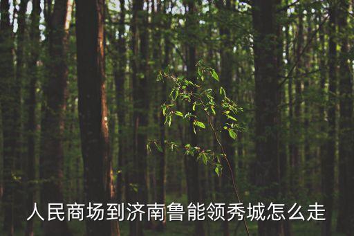 人民商場到濟南魯能領秀城怎么走