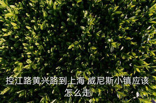 威尼斯小鎮,上海威尼斯小鎮在什么地方?