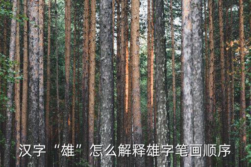漢字“雄”怎么解釋雄字筆畫順序