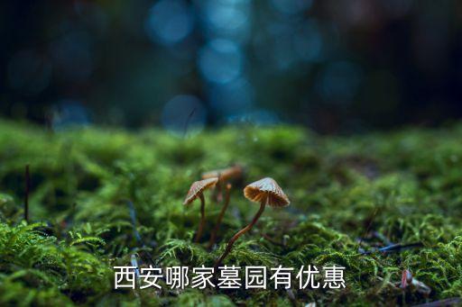 西安哪家墓園有優(yōu)惠