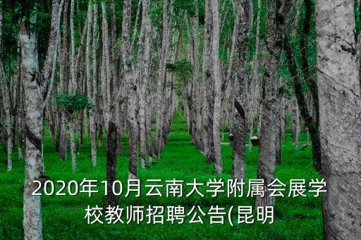 2020年10月云南大學附屬會展學校教師招聘公告(昆明