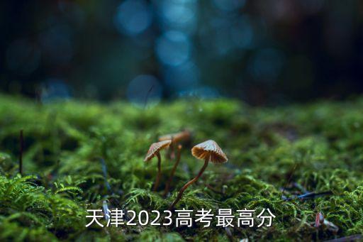 天津一本分數線,2033天津高考一本分數線2022