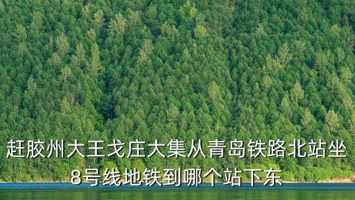 趕膠州大王戈莊大集從青島鐵路北站坐8號線地鐵到哪個站下東