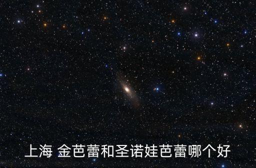上海 金芭蕾和圣諾娃芭蕾哪個好