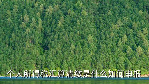 個人所得稅匯算清繳是什么如何申報