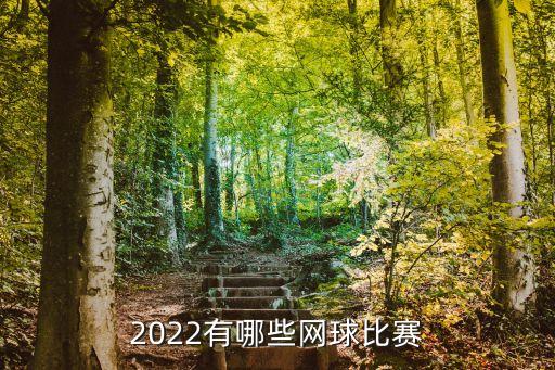 網球賽事,武漢網球公開賽首次舉辦wta超五巡回賽