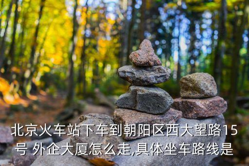 北京火車站下車到朝陽區西大望路15號 外企大廈怎么走,具體坐車路線是