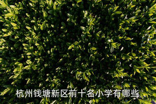 杭州錢塘新區前十名小學有哪些