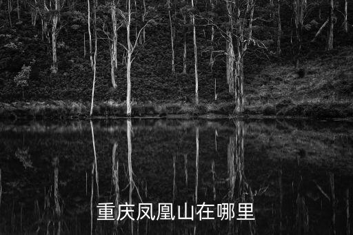 重慶鳳凰山在哪里