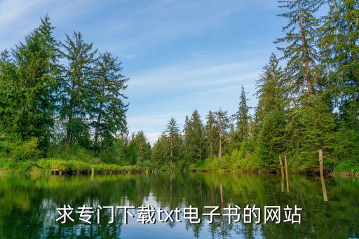 求專門下載txt電子書的網站