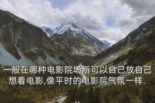 一般在哪種電影院場(chǎng)所可以自己放自己想看電影,像平時(shí)的電影院氣氛一樣...