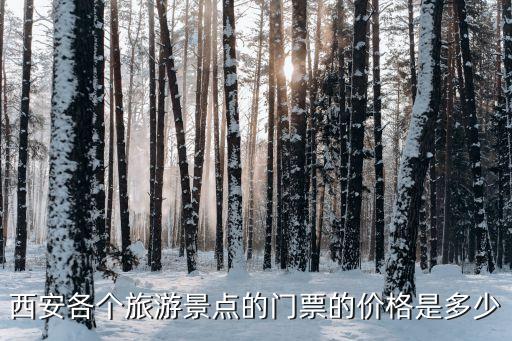 小雁塔門票多少錢,到武漢大雁塔需要多少錢門票