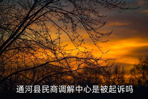 通河縣民商調解中心是被起訴嗎
