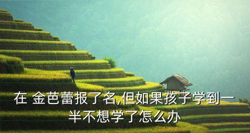 金芭蕾,上海芭蕾和圣諾娃芭蕾哪個好?根據孩子生長發育情況確定教材內容