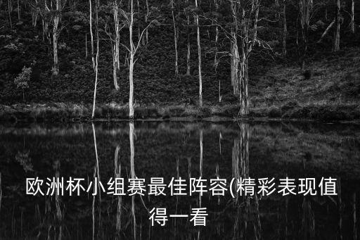  歐洲杯小組賽最佳陣容(精彩表現(xiàn)值得一看