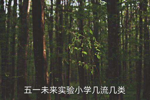 五一未來實驗小學幾流幾類