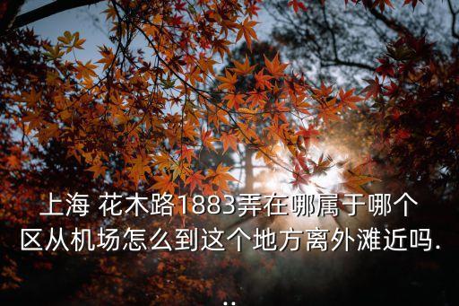 上海 花木路1883弄在哪屬于哪個區從機場怎么到這個地方離外灘近嗎...