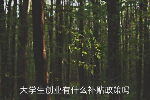 大學(xué)生創(chuàng)業(yè)有什么補貼政策嗎