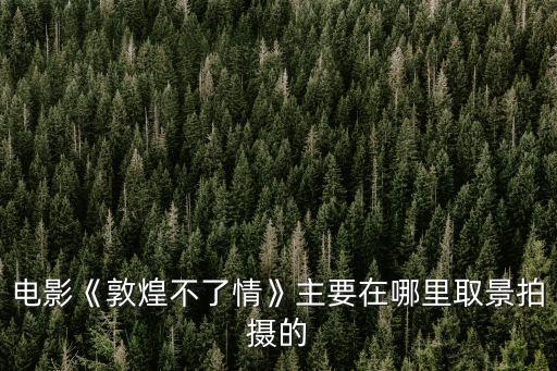 電影《敦煌不了情》主要在哪里取景拍攝的