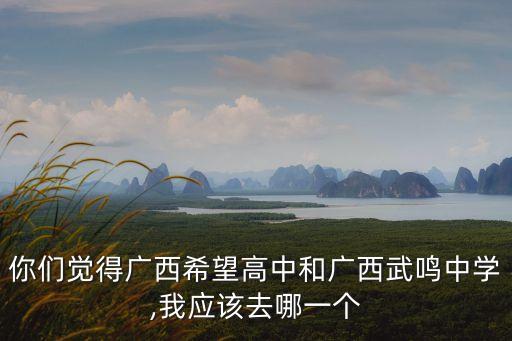你們覺得廣西希望高中和廣西武鳴中學(xué),我應(yīng)該去哪一個