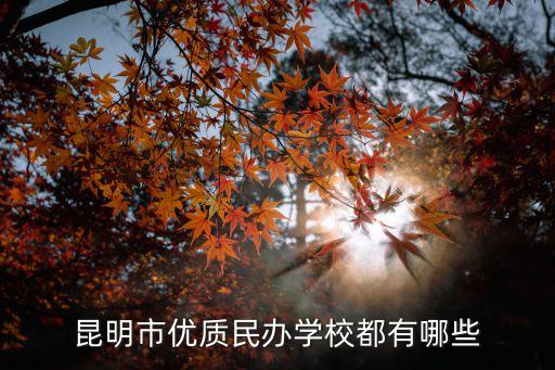 云大附屬會展學校,云大會展附屬小學轉公還是轉私