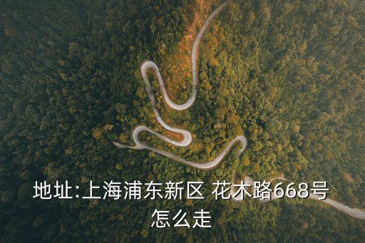 花木路,從上海花木路1883弄到武威路地鐵站怎么走?