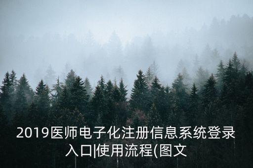 醫師電子化注冊系統,醫師電子化怎么注冊?