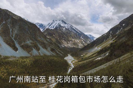 廣州南站至 桂花崗箱包市場怎么走