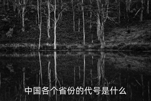 中國各個省份的代號是什么