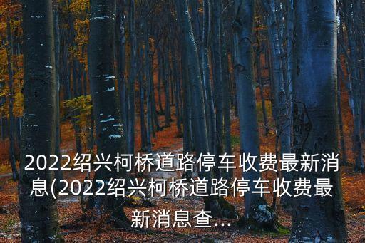 2022紹興柯橋道路停車收費最新消息(2022紹興柯橋道路停車收費最新消息查...