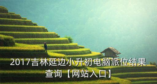 2017吉林延邊小升初電腦派位結果查詢【網站入口】